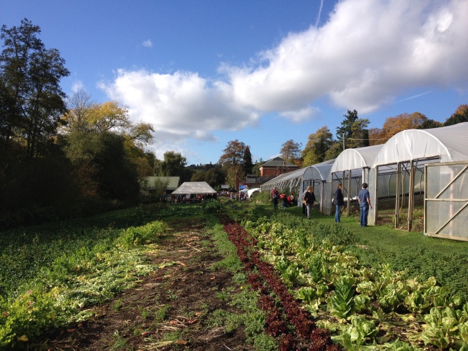Tolhurst Organic Farm
